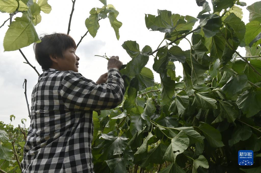 有那个糖果派对网站注册就送的